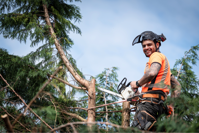 JCB Fastrac and Trailer Finance for Tree Surgery Business